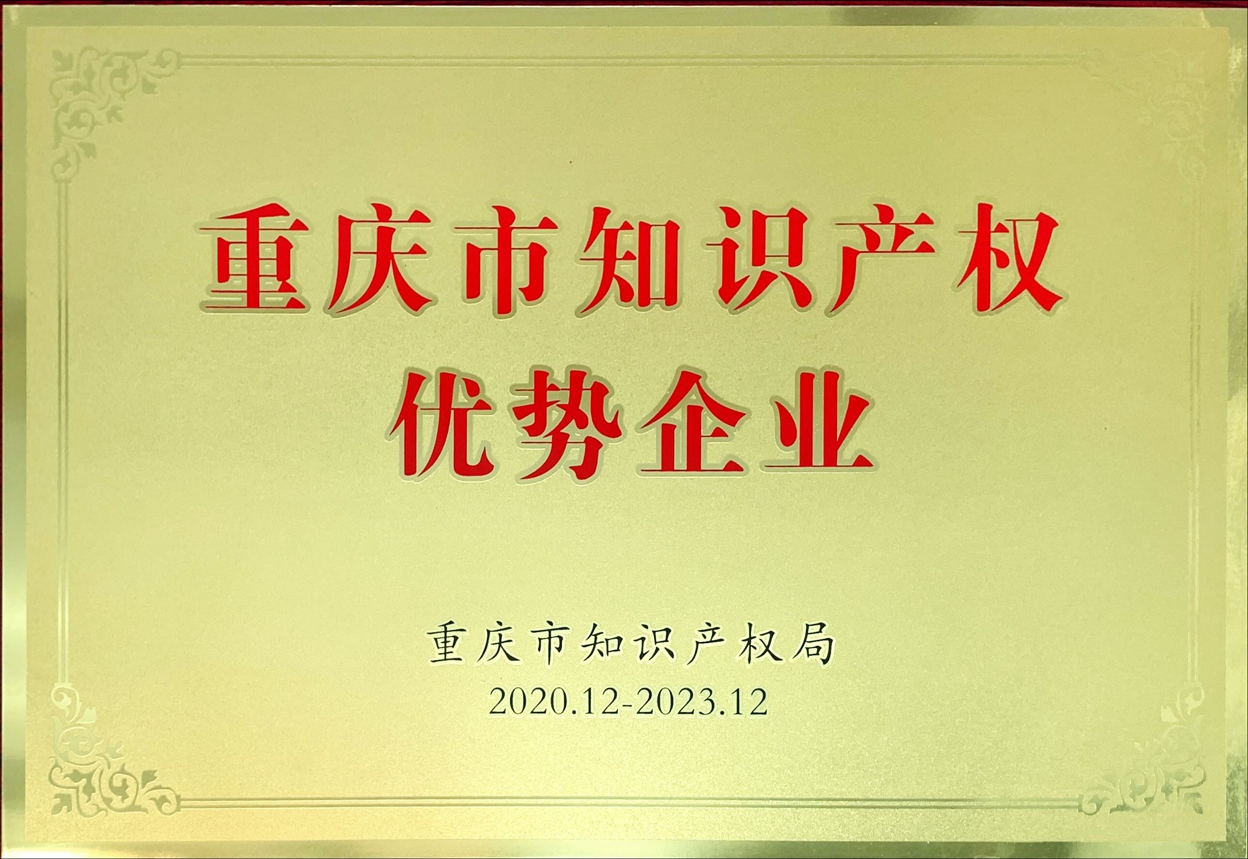 重慶市知識(shí)產(chǎn)權(quán)優(yōu)勢企業(yè)